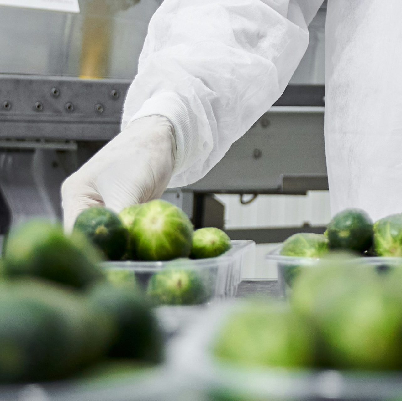 Nexori Group – Verpackungs- und Verarbeitungslösungen für die Schweizer Lebensmittelindustrie
